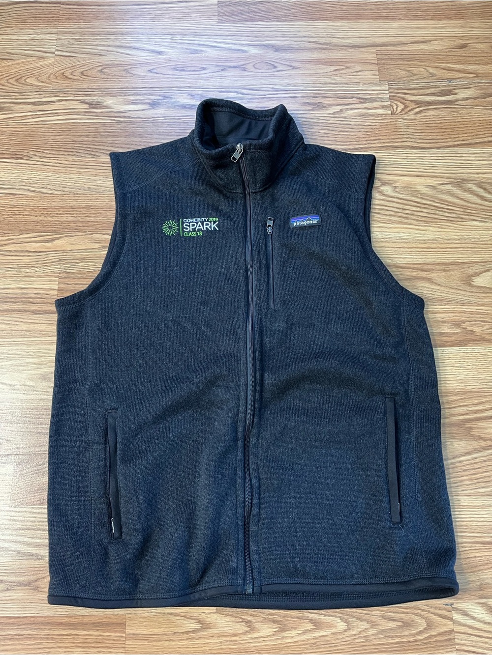 Patagonia Black Fleece Vest with Green Spark Logo